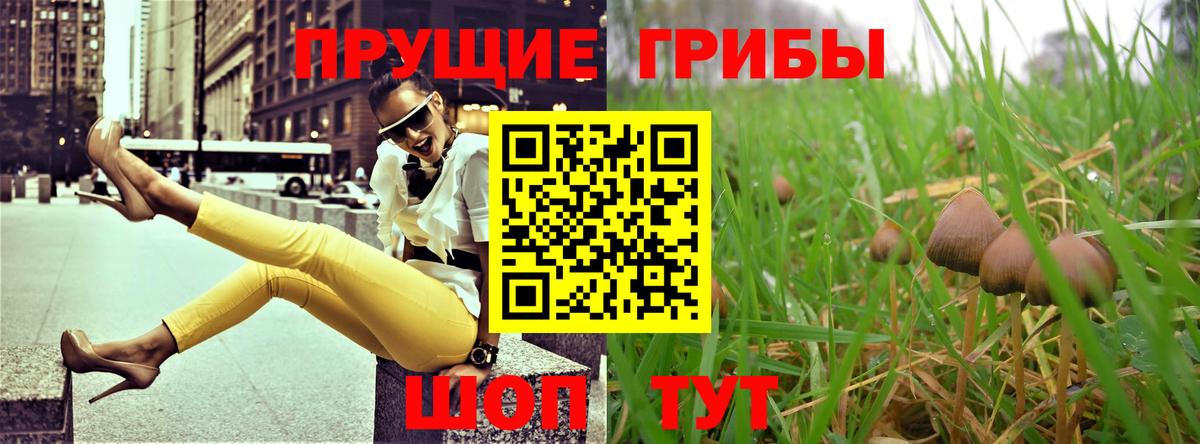 Псилоцибиновые грибы прущие грибы Бирск